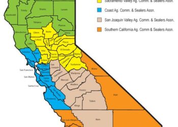 California AG Rob Bonta says online fantasy sports platforms are illegal in the state – KCRA