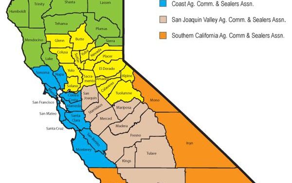 California AG Rob Bonta says online fantasy sports platforms are illegal in the state – KCRA