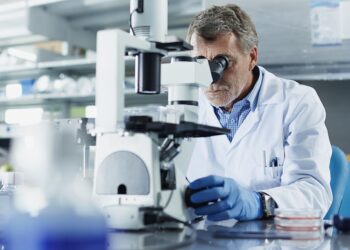 Scientists warn US will lose a generation of talent because of Trump cuts | Trump administration – The Guardian