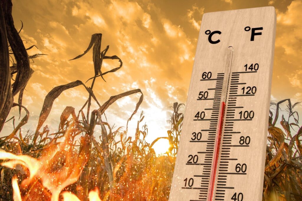 The long-term health risks as extreme heat becomes a new normal – PBS