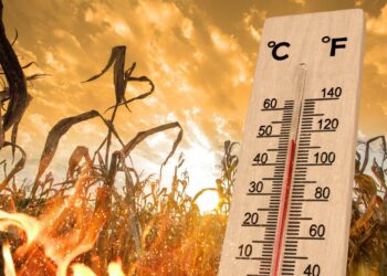 The long-term health risks as extreme heat becomes a new normal – PBS