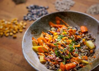 New book digs into Indigenous cuisine through archaeology, culture, ecology – Gander Newsroom