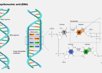 How New DNA Science Could Help More Families of the Missing – The New York Times