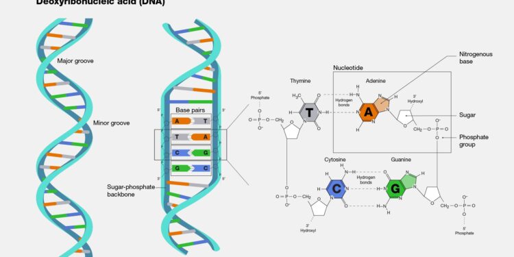 How New DNA Science Could Help More Families of the Missing – The New York Times