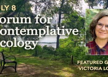 Intl forum on ecology opens with over 1,000 domestic and foreign guests – China Daily