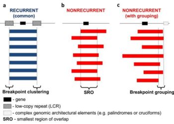 An episodic burst of massive genomic rearrangements and the origin of non-marine annelids – Nature