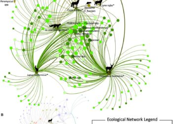 Embedding information flows within ecological networks – Nature