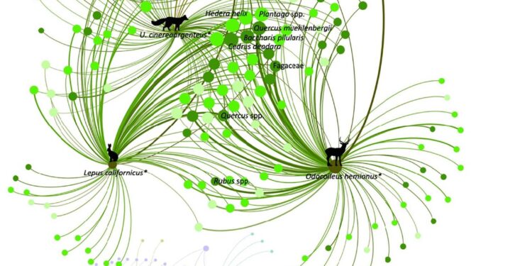 Embedding information flows within ecological networks – Nature
