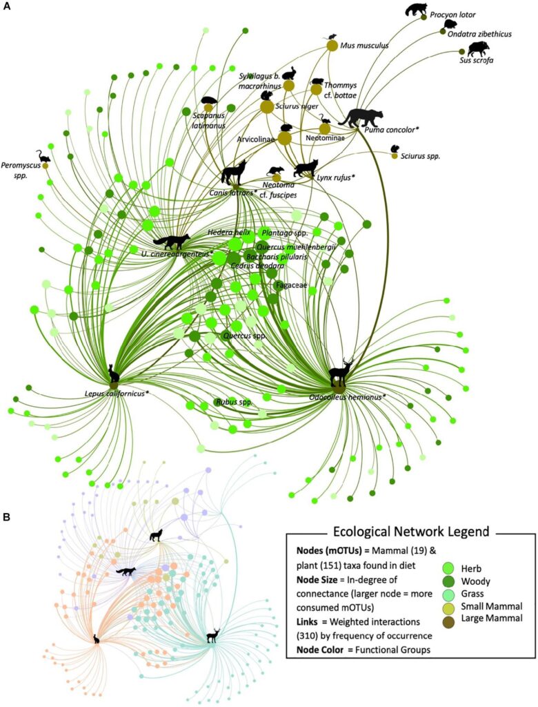 Embedding information flows within ecological networks – Nature