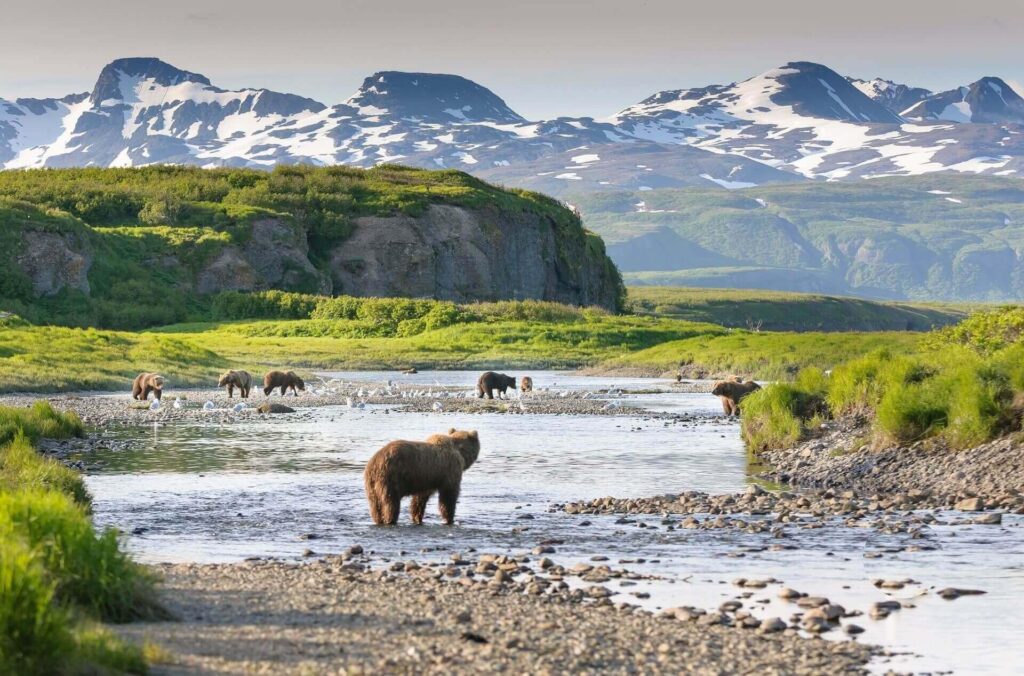 Alaska is America’s worst state for business in 2025 as falling oil prices sink economy – CNBC