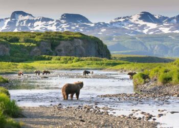 Alaska is America’s worst state for business in 2025 as falling oil prices sink economy – CNBC