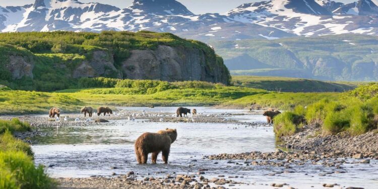 Alaska is America’s worst state for business in 2025 as falling oil prices sink economy – CNBC