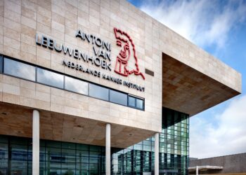 World’s Premier Cancer Institute Faces Crippling Cuts and Chaos – KFF Health News