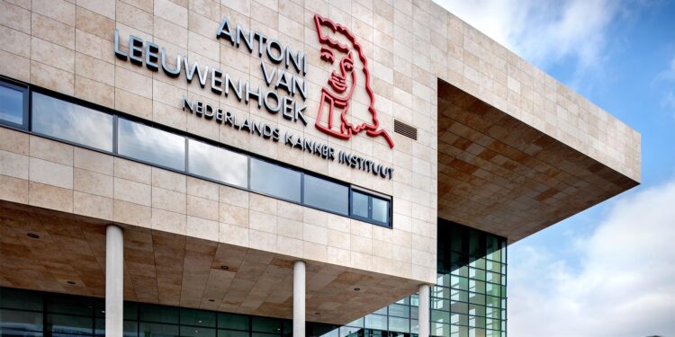 World’s Premier Cancer Institute Faces Crippling Cuts and Chaos – KFF Health News