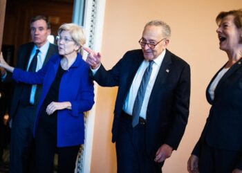 Senate Democrat: Trump economy full of ‘uncertainty,’ ‘chaos’ – The Hill