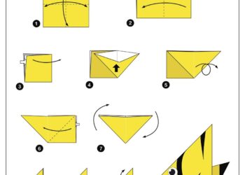 Sierra Club breaks record for world’s largest display of origami fish to protest Line 5 – News From The States