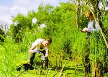 International call for freedom for environmentalist Onur Yılmaz – ANF English