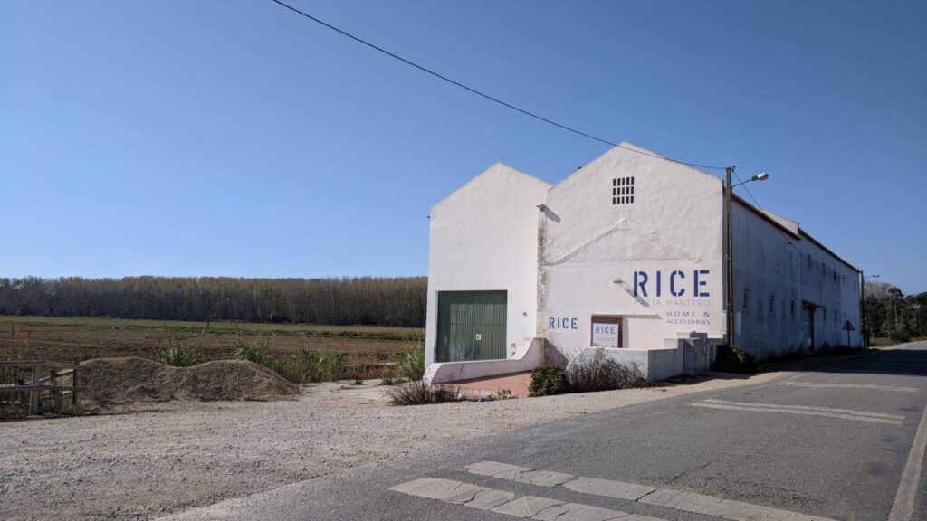 Rice Museum: Architecture Rooted in Rural Memory and Ecology – ArchDaily