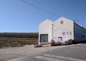 Rice Museum: Architecture Rooted in Rural Memory and Ecology – ArchDaily