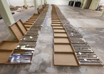 A Denver dino museum makes a find deep under own parking lot – NBC News