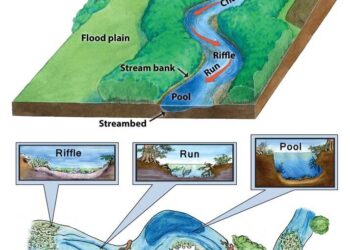 New study bridges a long-standing gap in river science – cosmosmagazine.com