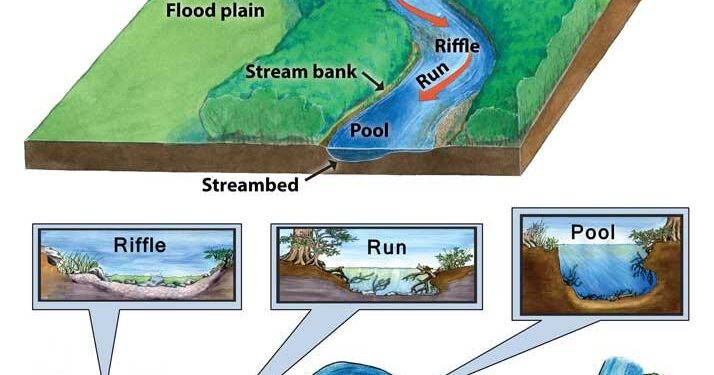 New study bridges a long-standing gap in river science – cosmosmagazine.com