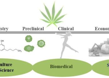 San Diego scientists try to unlock the secrets of cannabis – KPBS