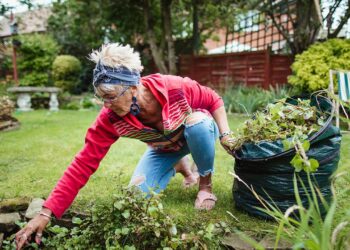 An ecological oasis sits in the center of San Juan Capistrano – Orange County Register