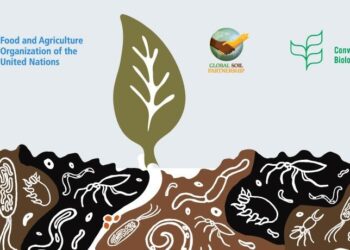 Combining science and policy for a unified global soil biodiversity observatory – Nature