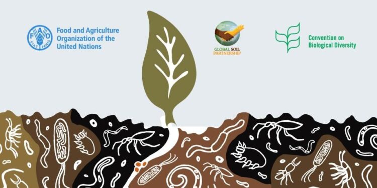 Combining science and policy for a unified global soil biodiversity observatory – Nature
