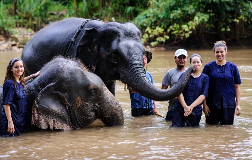 Gary Ades speaks on animal conservation and ecology in Hong Kong – South China Morning Post