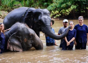 Gary Ades speaks on animal conservation and ecology in Hong Kong – South China Morning Post