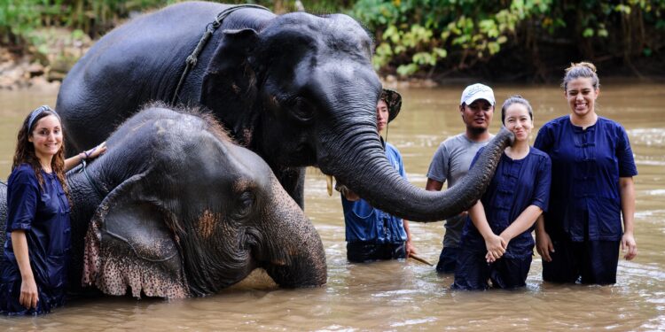Gary Ades speaks on animal conservation and ecology in Hong Kong – South China Morning Post