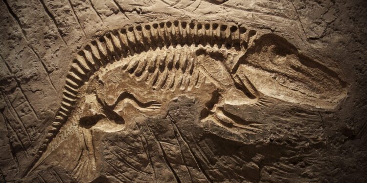 Dinosaur fossil found underneath a Denver museum’s parking lot – CNN