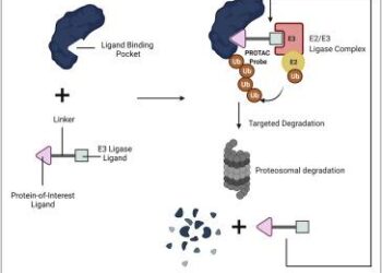 UW scientists use AI to crack ‘undruggable’ proteins, opening door to new treatments – GeekWire