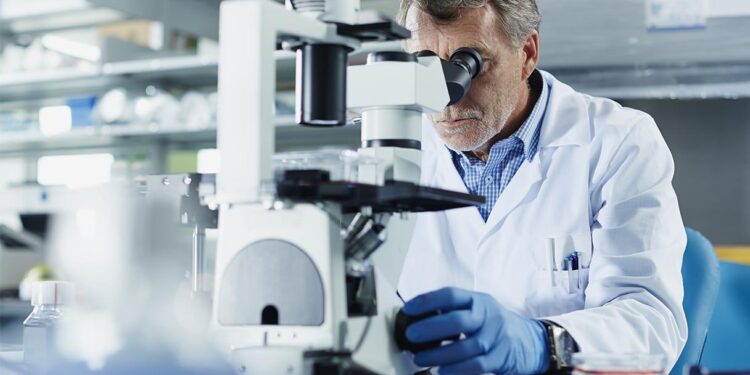 ‘A disaster for all of us’: US scientists describe impact of Trump cuts – theguardian.com