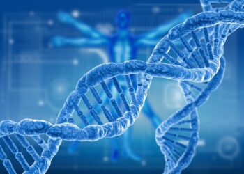 CRISPR uncovers gene that supercharges vitamin D—and stops tumors in their tracks – ScienceDaily