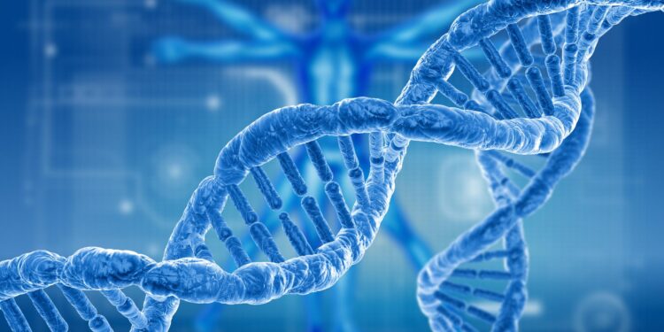 CRISPR uncovers gene that supercharges vitamin D—and stops tumors in their tracks – ScienceDaily