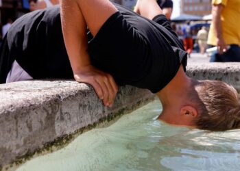 Heat wave causing myriad problems for Lake Erie’s ecology – Toledo Blade