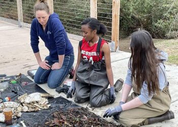 Join the Neighborhood Ecology Corps – RaleighNC.gov