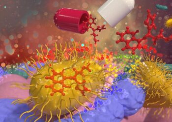 An Extra Sense May Connect Gut Bacteria With Our Brain – ScienceAlert