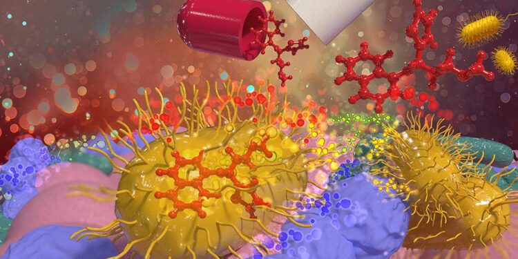 An Extra Sense May Connect Gut Bacteria With Our Brain – ScienceAlert