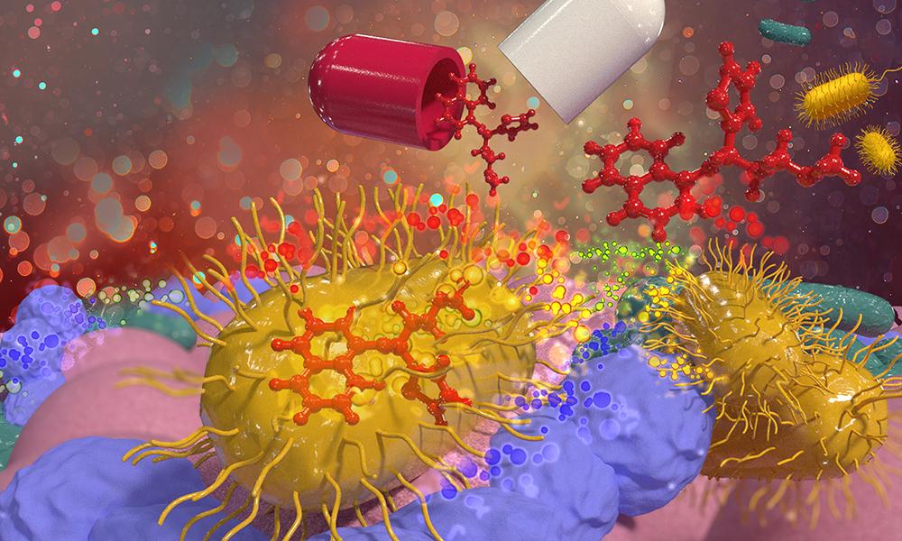 An Extra Sense May Connect Gut Bacteria With Our Brain – ScienceAlert
