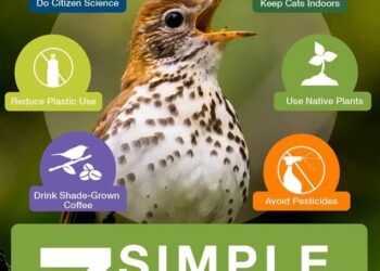 Threat reduction must be coupled with targeted recovery programmes to conserve global bird diversity – Nature