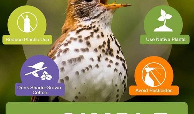 Threat reduction must be coupled with targeted recovery programmes to conserve global bird diversity – Nature