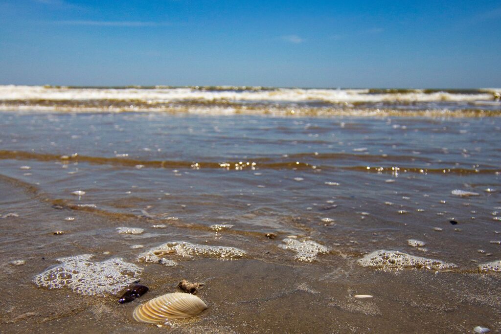 Texas Gulf Coast city entertains $816 million, 53-acre development – Chron