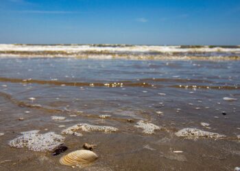 Texas Gulf Coast city entertains $816 million, 53-acre development – Chron