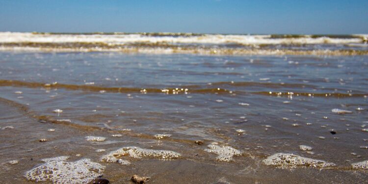 Texas Gulf Coast city entertains $816 million, 53-acre development – Chron