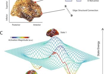 Energy landscapes direct the movement preferences of elephants – besjournals