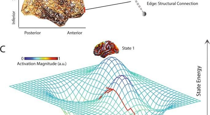 Energy landscapes direct the movement preferences of elephants – besjournals